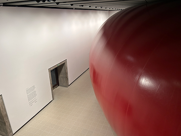 Anish Kapoor