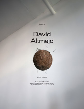 David Altmejd