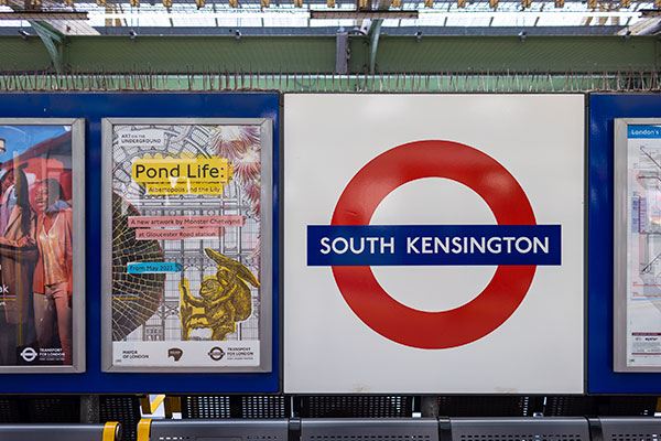 Pond Life: Albertopolis and the Lily