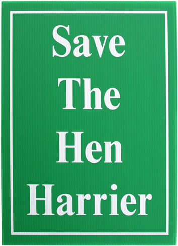 Save The Hen Harrier