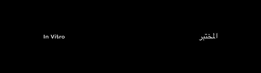 In Vitro