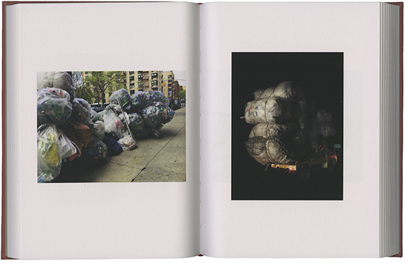 Anish Kapoor